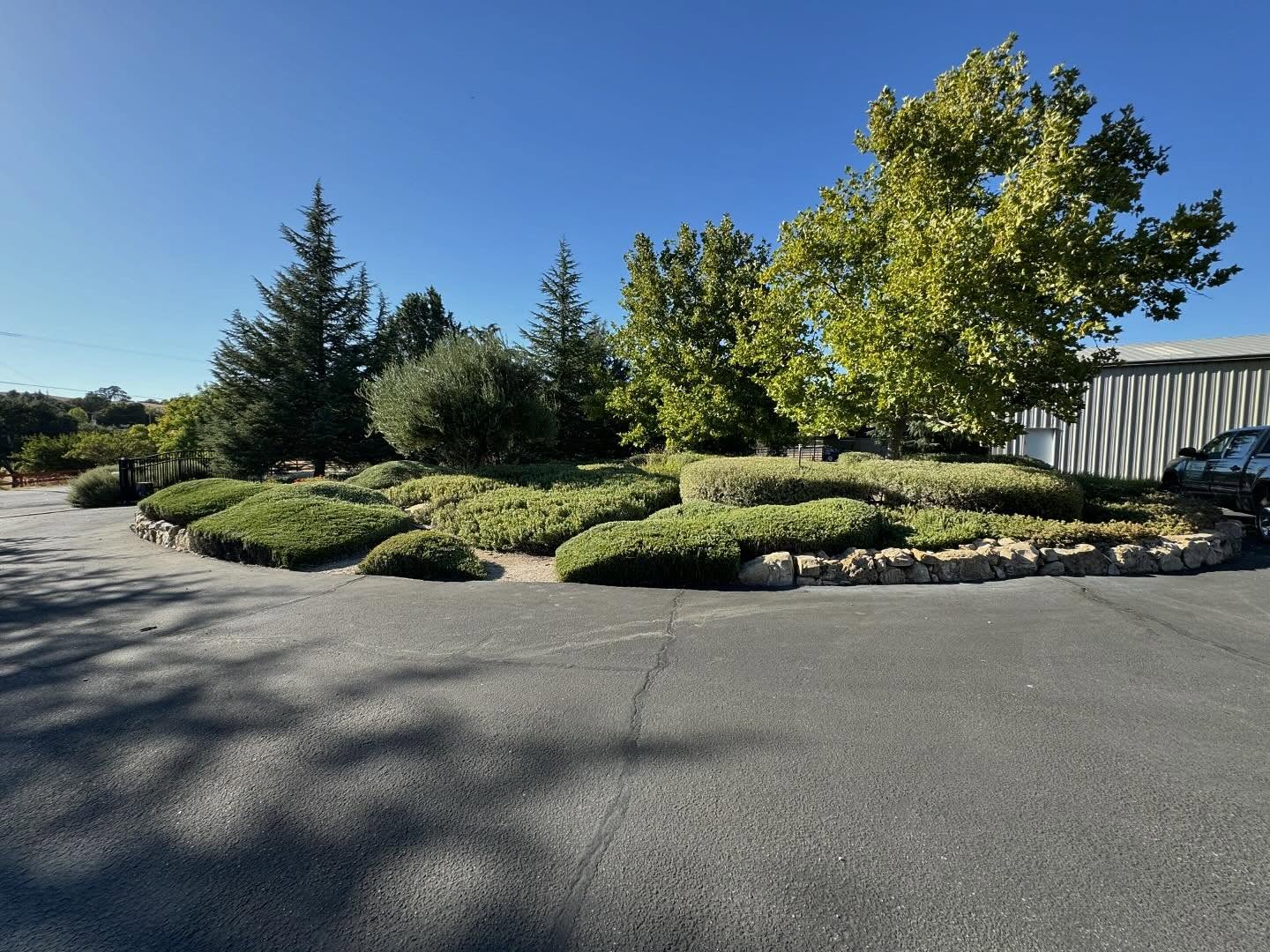 bellalandscape14